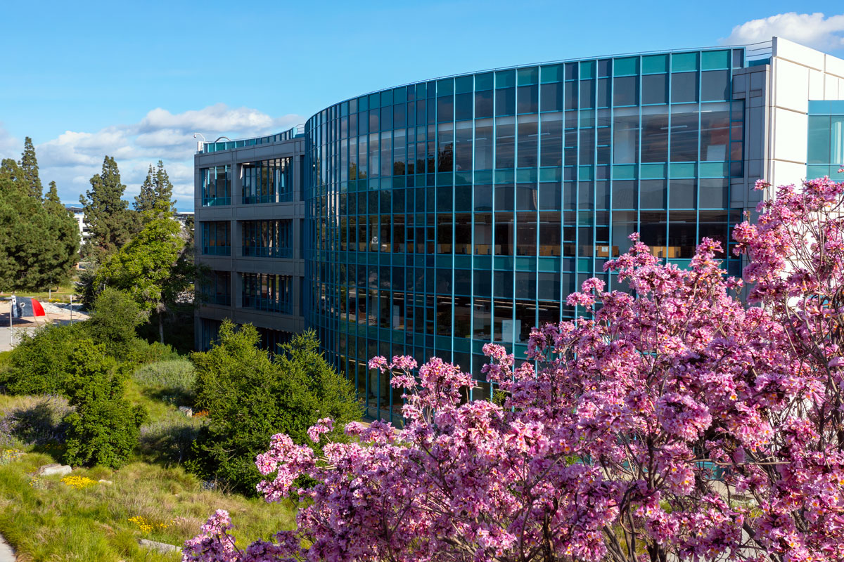 Explore Pollak Library